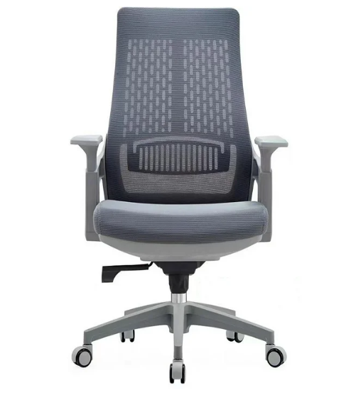 WGYI B2020 Office Chair (Grey) Office Executive Chair